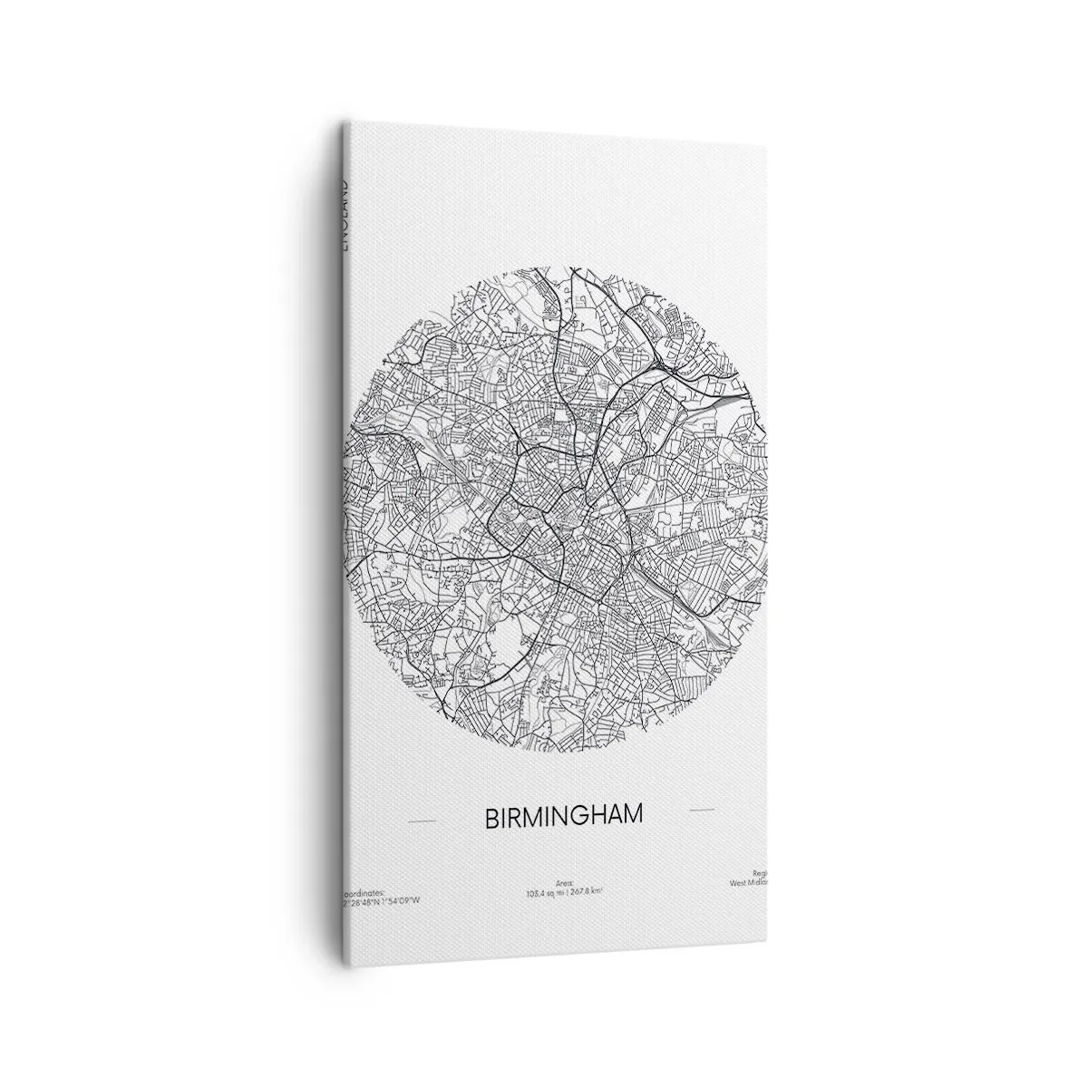 Cuadro sobre lienzo - Impresión de Imagen - Anatomía de Birmingham - 45x80 cm