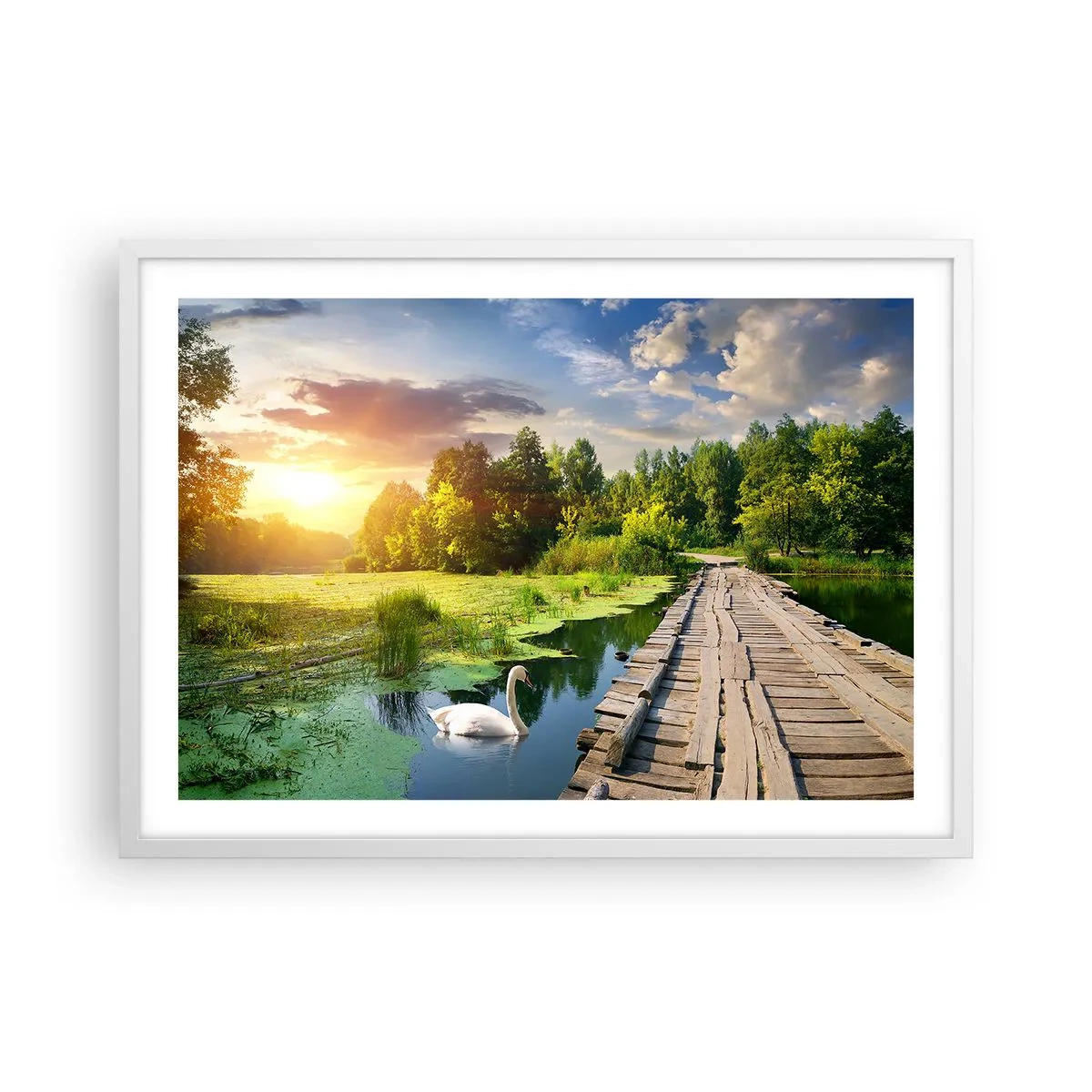 Póster en marco blanco - Verano, verano en todas partes - 70x50 cm