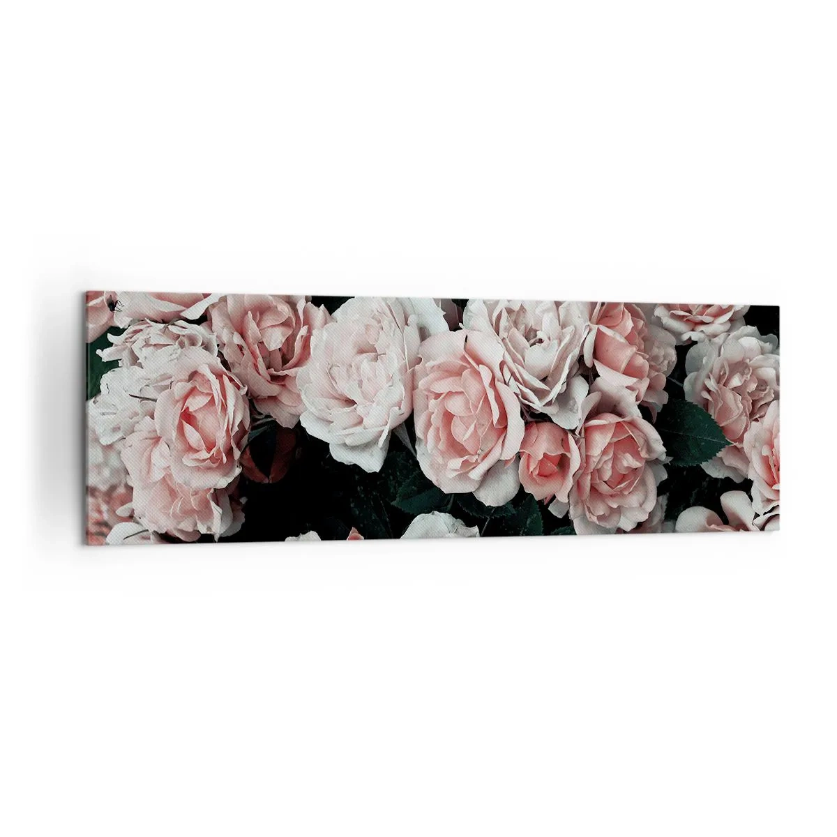 Cuadro sobre lienzo - Impresión de Imagen - Rosas rosadas sobre un fondo oscuro en una composición sutil. - 160x50cm - Conjunto de rosas - Decoración de pared moderna para salón y dormitorio ARTTOR