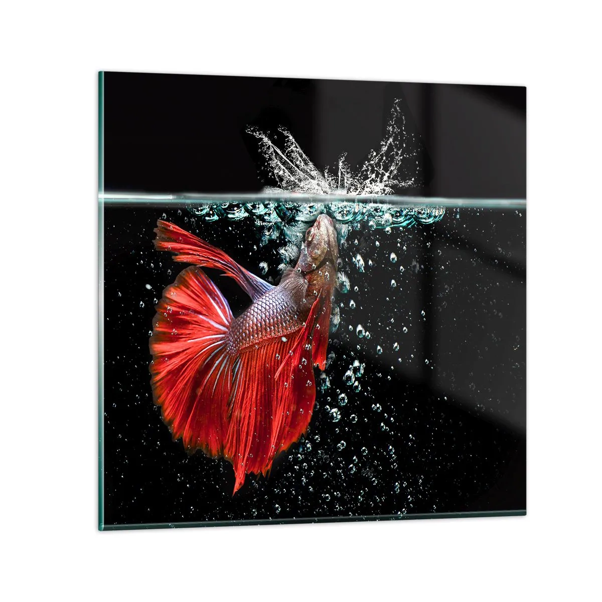 Cuadro sobre vidrio - Impresiones sobre Vidrio - Tienes tres deseos - 50x50 cm