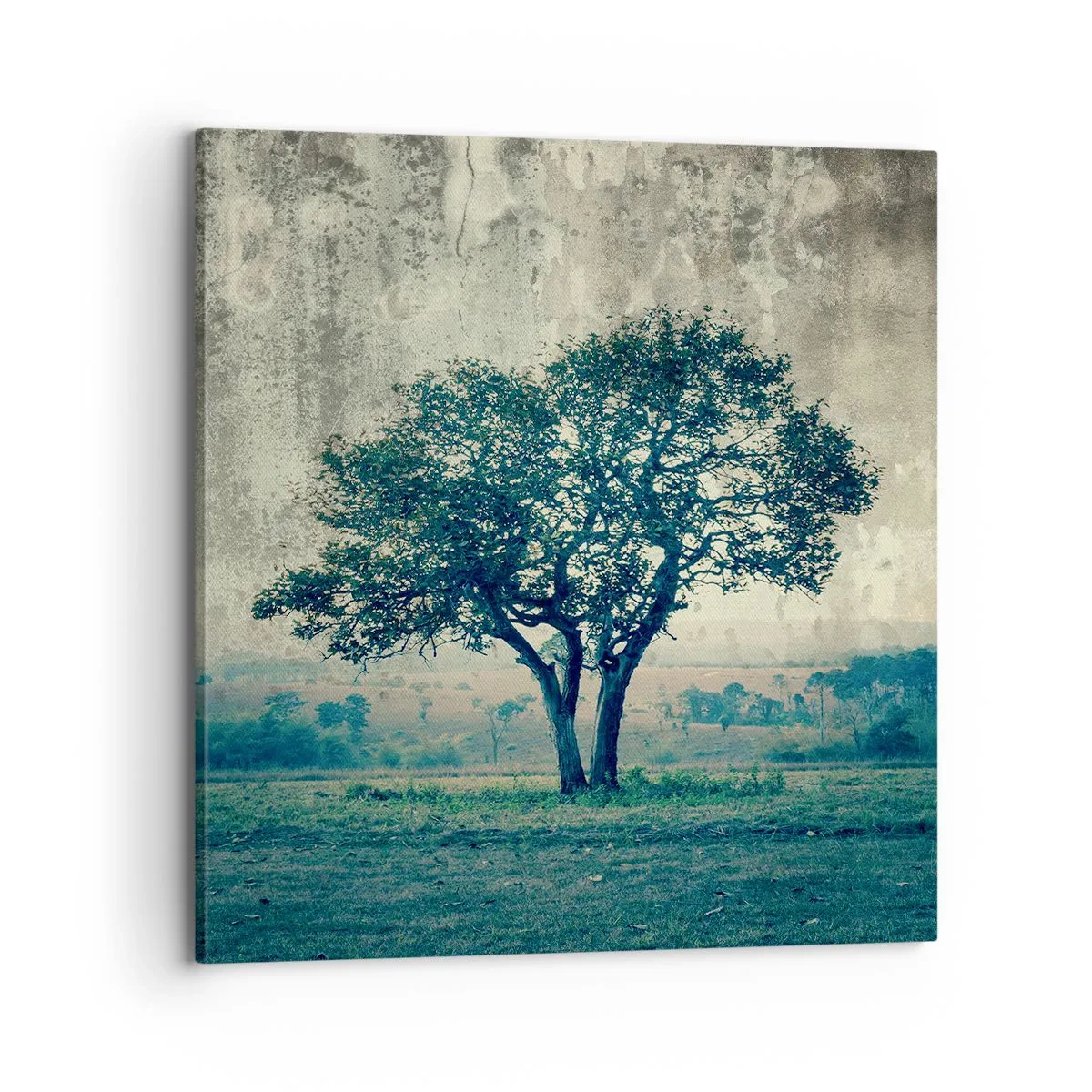 Cuadro sobre lienzo - Impresión de Imagen - El manzano - 70x70 cm