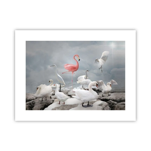 Póster - ¿De dónde vengo? - 40x30 cm