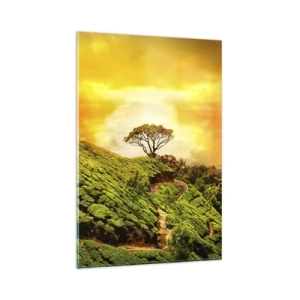 Cuadro sobre vidrio - Impresiones sobre Vidrio - Colinas verdes de plantaciones de té al atardecer - 80x120cm - Por un camino sinuoso, por una verde pendiente - Decoración de pared moderna para salón y dormitorio ARTTOR