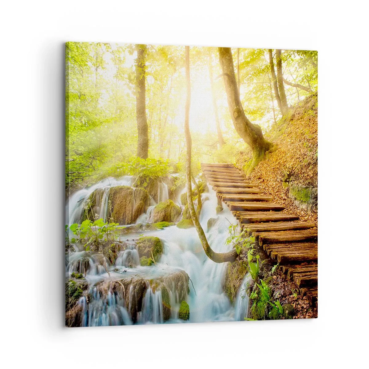 Cuadro sobre lienzo - Impresión de Imagen - El ansiado frescor - 60x60 cm