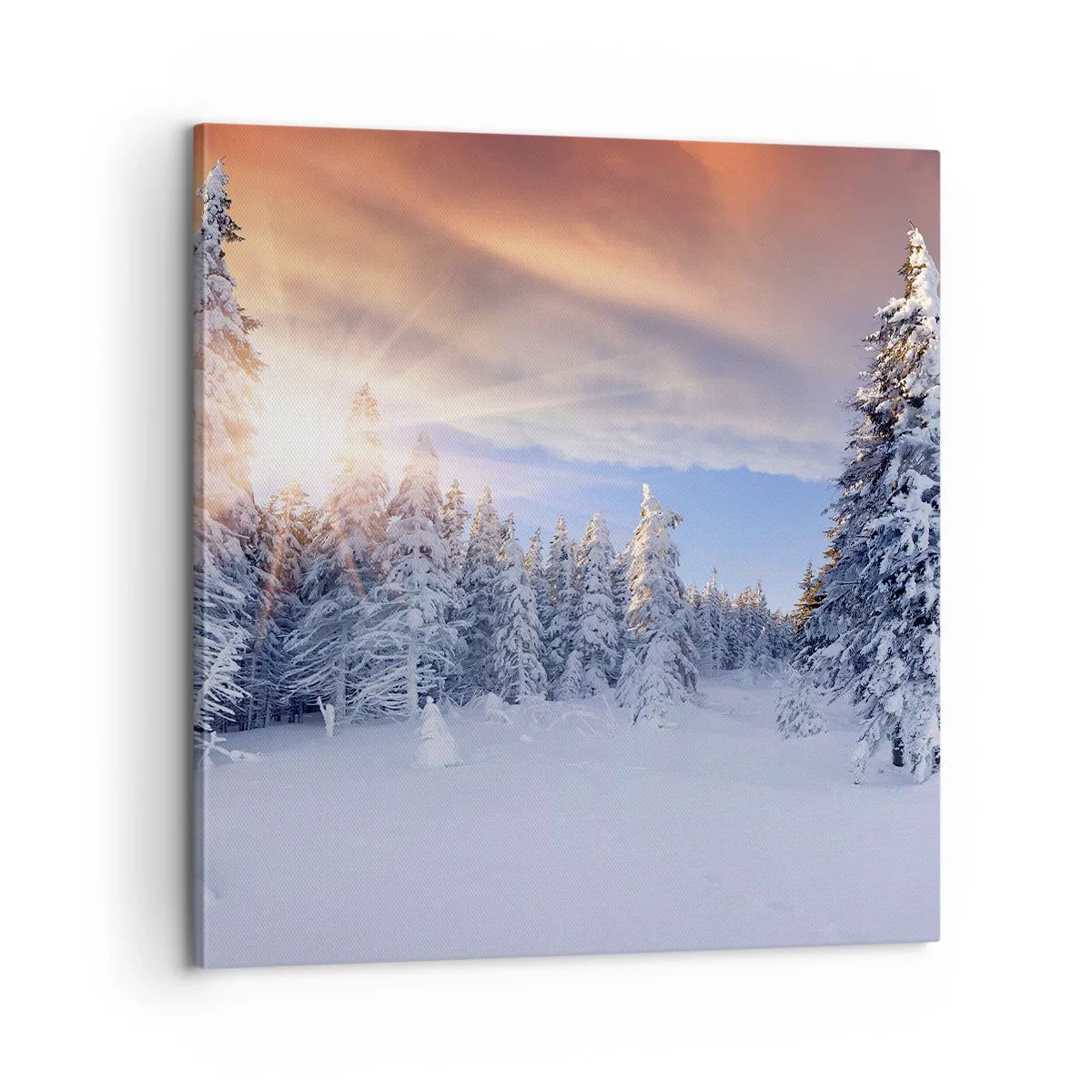 Cuadro sobre lienzo - Impresión de Imagen - Un espectáculo de naturaleza nevada - 60x60 cm