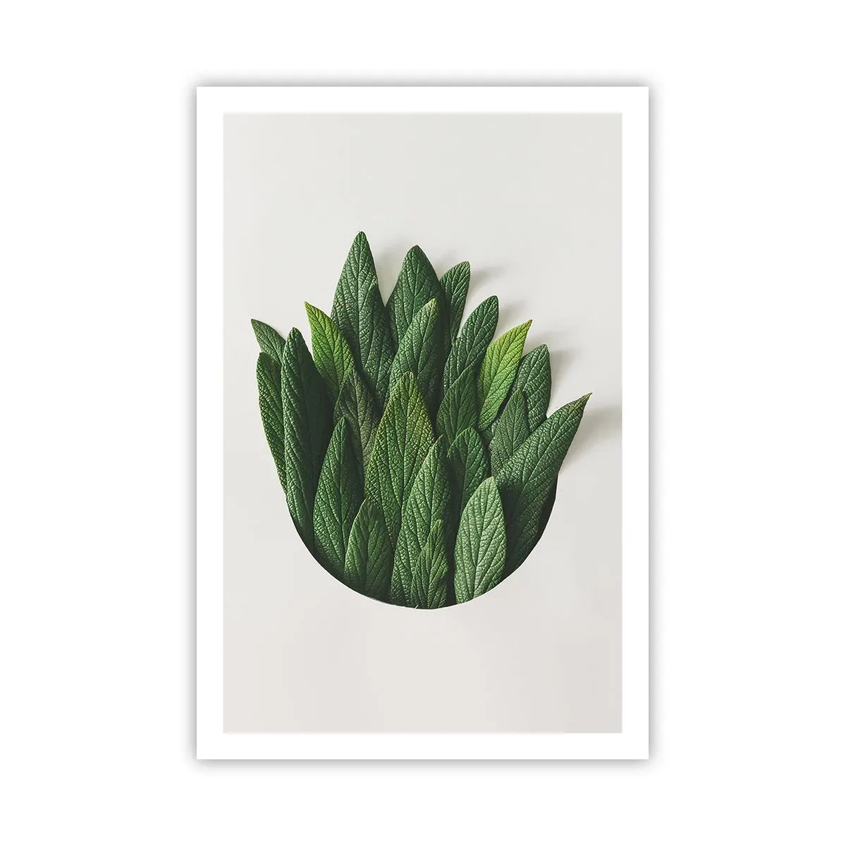 Póster - Curiosidad desenfrenada - 61x91 cm