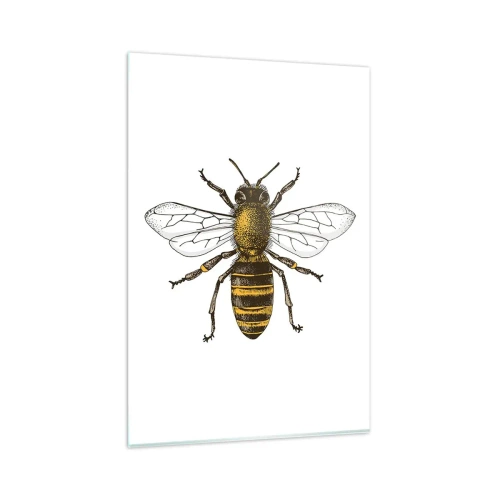 Cuadro sobre vidrio - Impresiones sobre Vidrio - Ilustración detallada de una abeja sobre un fondo blanco. - 80x120cm - Bondad natural - Decoración de pared moderna para salón y dormitorio ARTTOR