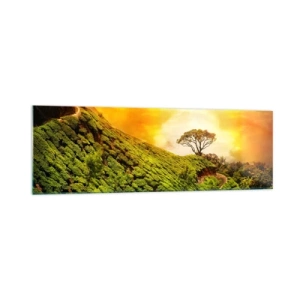 Cuadro sobre vidrio - Impresiones sobre Vidrio - Colinas verdes de plantaciones de té al atardecer - 160x50cm - Por un camino sinuoso, por una verde pendiente - Decoración de pared moderna para salón y dormitorio ARTTOR