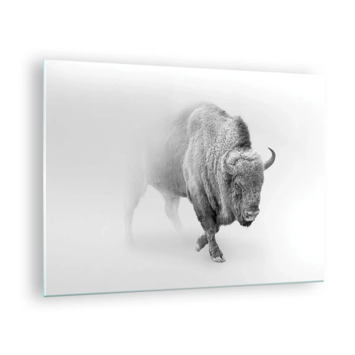 Cuadro sobre vidrio - Impresiones sobre Vidrio - Ilustración en blanco y negro de un majestuoso bisonte. - 70x50cm - Rey de la pradera - Decoración de pared moderna para salón y dormitorio ARTTOR