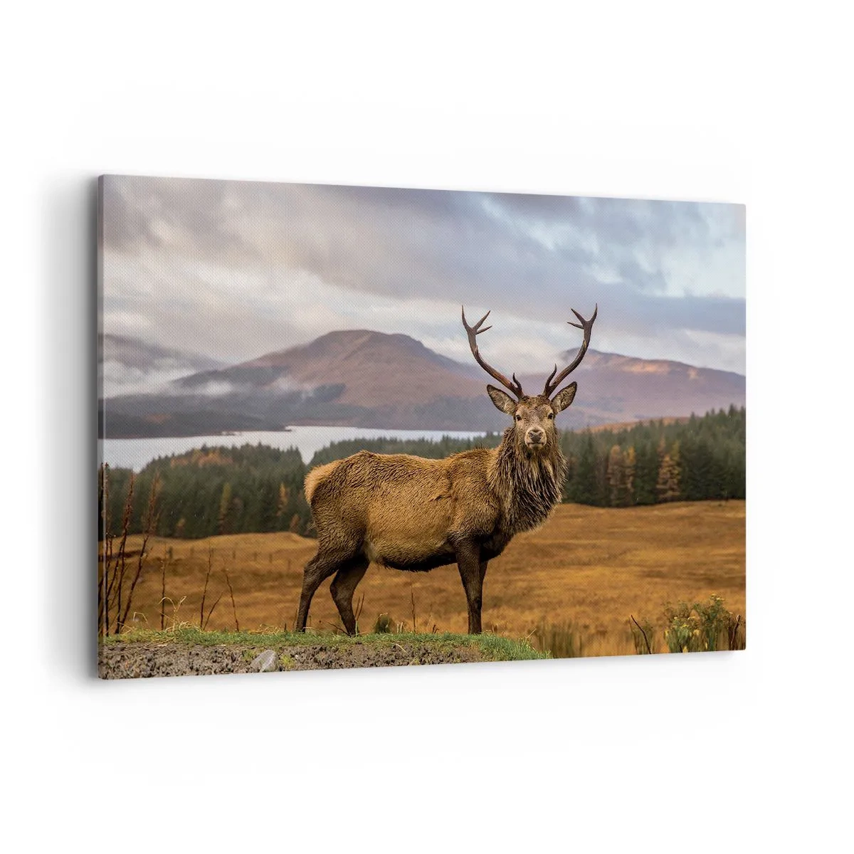 Cuadro sobre lienzo - Impresión de Imagen - Un ciervo con el telón de fondo de un paisaje montañoso con lagos y bosques. - 120x80cm - La majestuosidad de la naturaleza - Decoración de pared moderna para salón y dormitorio ARTTOR