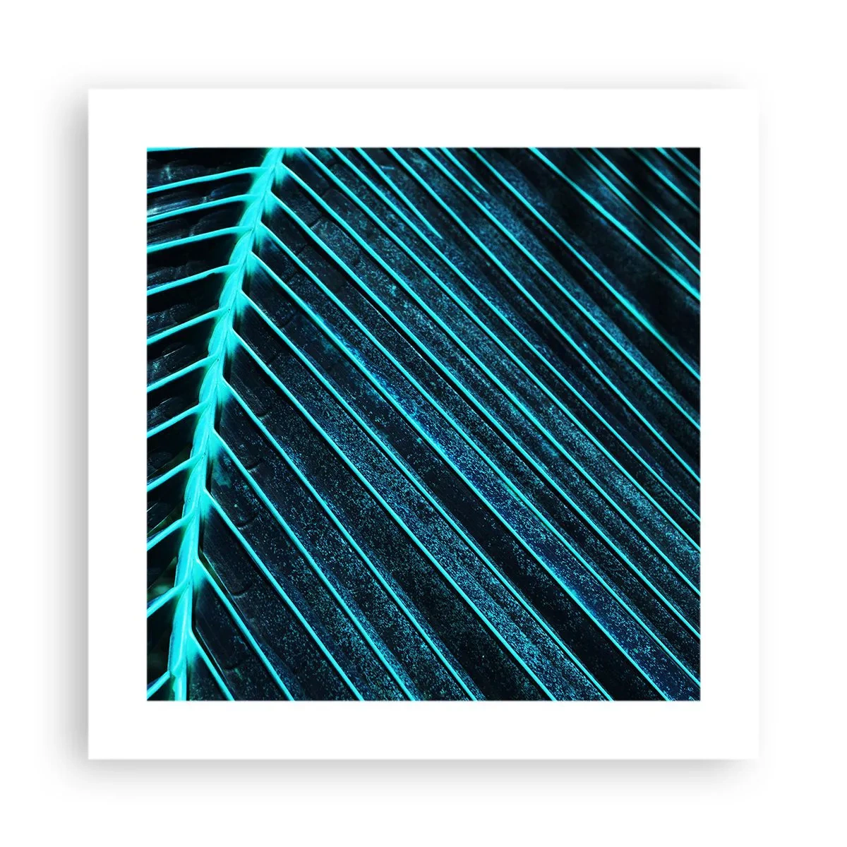 Póster - La textura del verde - 40x40 cm