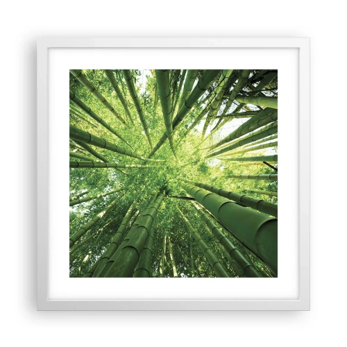 Póster en marco blanco - En un bosquecillo de bambú - 40x40 cm