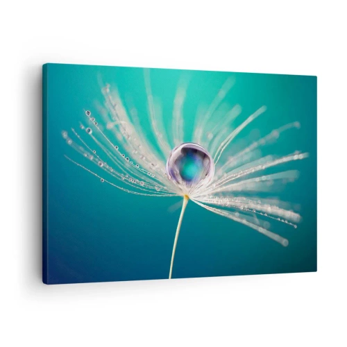 Cuadro sobre lienzo - Impresión de Imagen - Macro de una gota de agua sobre una delicada semilla de diente de león. - 70x50cm - Momento místico - Decoración de pared moderna para salón y dormitorio ARTTOR