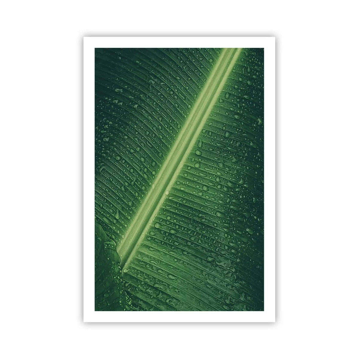 Póster - Estructura del verde - 61x91 cm