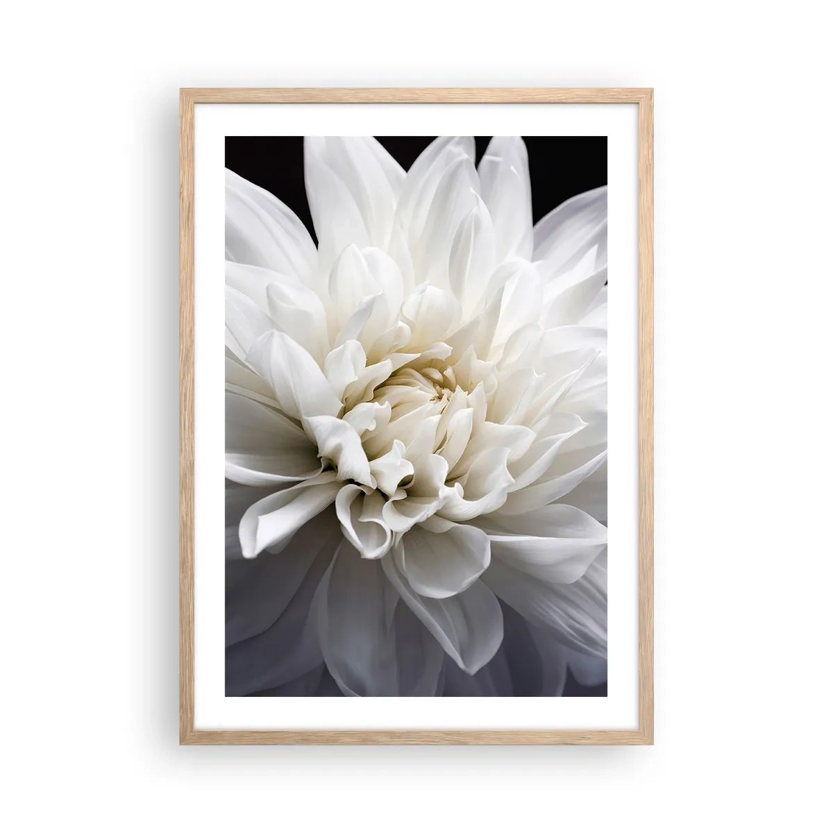 Póster en marco roble claro - La novia de la mañana - 50x70 cm