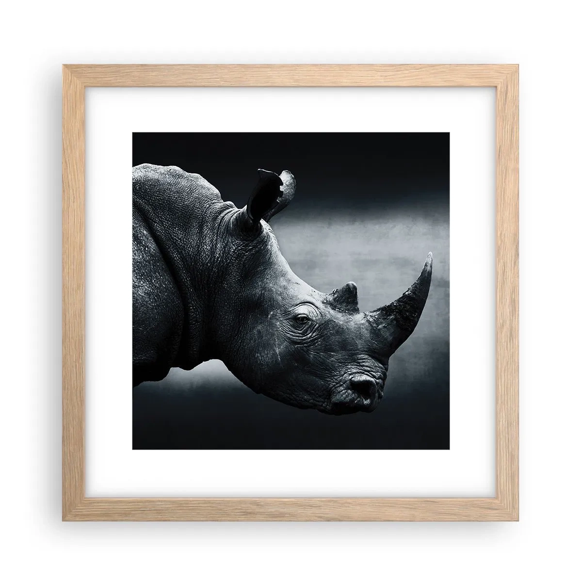 Póster en marco roble claro - Perfil derecho - 30x30 cm