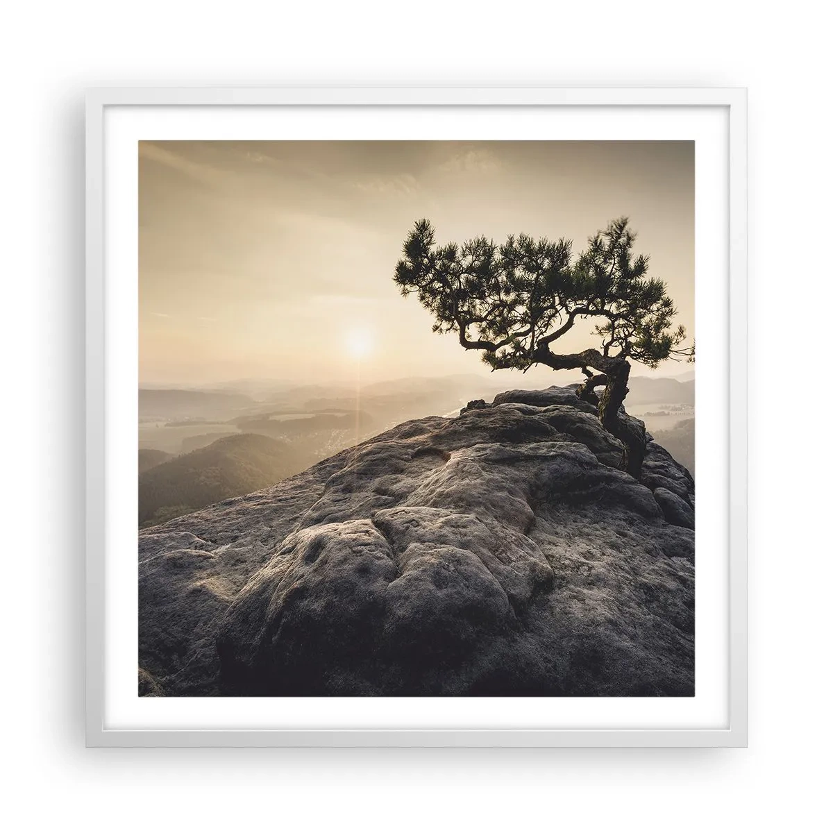 Póster en marco blanco - La vida se abre camino - 60x60 cm