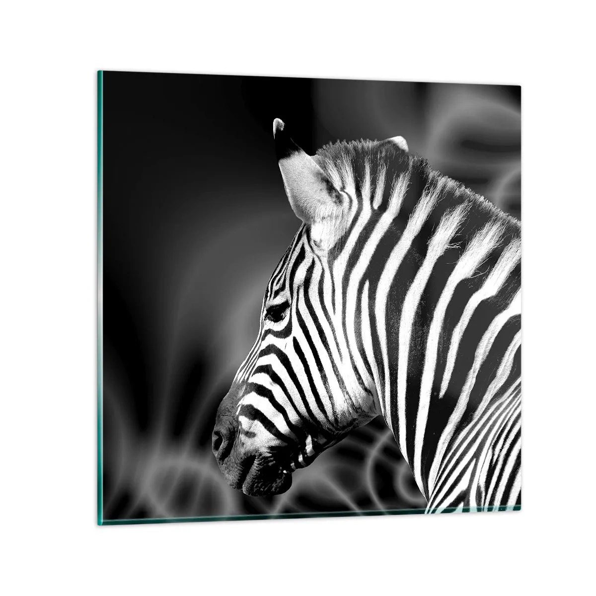 Cuadro sobre vidrio - Impresiones sobre Vidrio - El blanco es blanco, el negro es negro - 30x30 cm