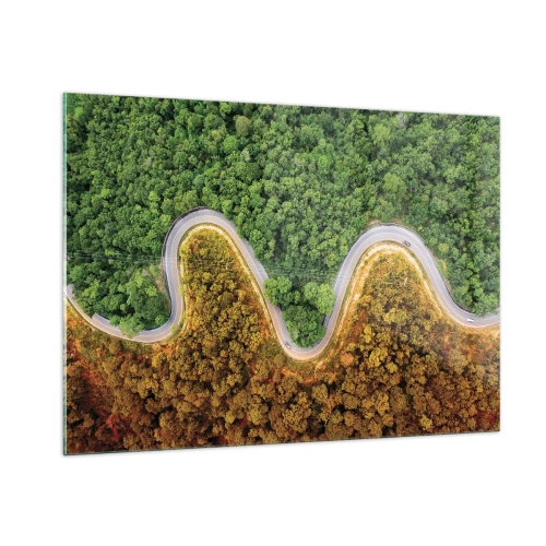 Cuadro sobre vidrio - Impresiones sobre Vidrio - Un camino sinuoso a través de un denso bosque visto a vista de pájaro. - 100x70cm - Frontera serpenteante - Decoración de pared moderna para salón y dormitorio ARTTOR