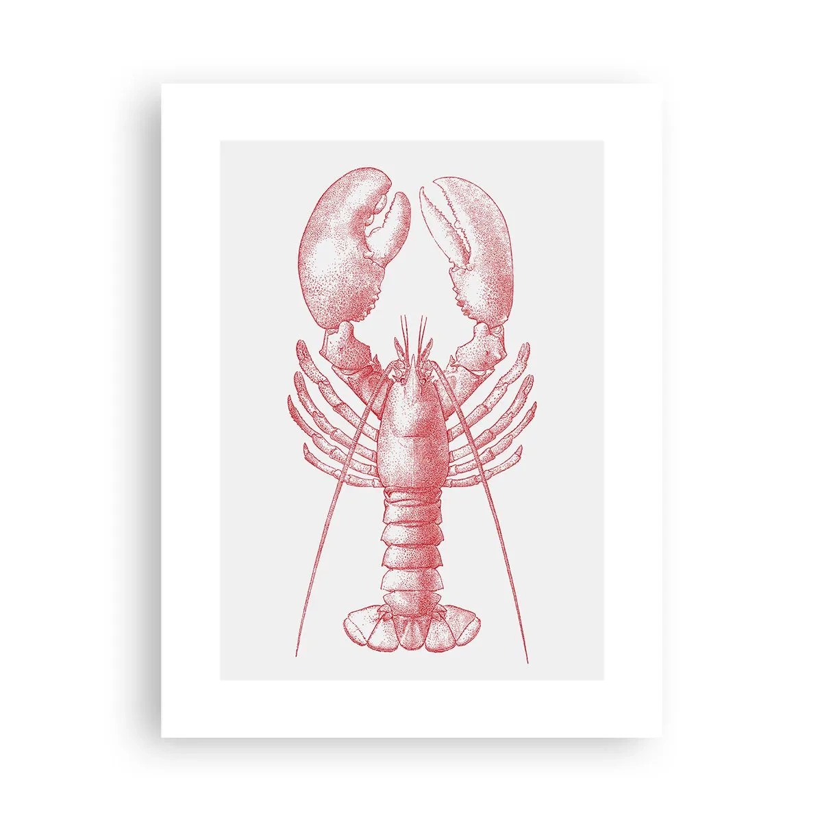 Póster - La reina de los fondos rocosos - 30x40 cm