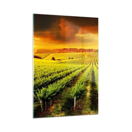 Cuadro sobre vidrio - Impresiones sobre Vidrio - Viñedo a la luz del sol poniente - 50x70cm - Bajo el sol de Australia - Decoración de pared moderna para salón y dormitorio ARTTOR