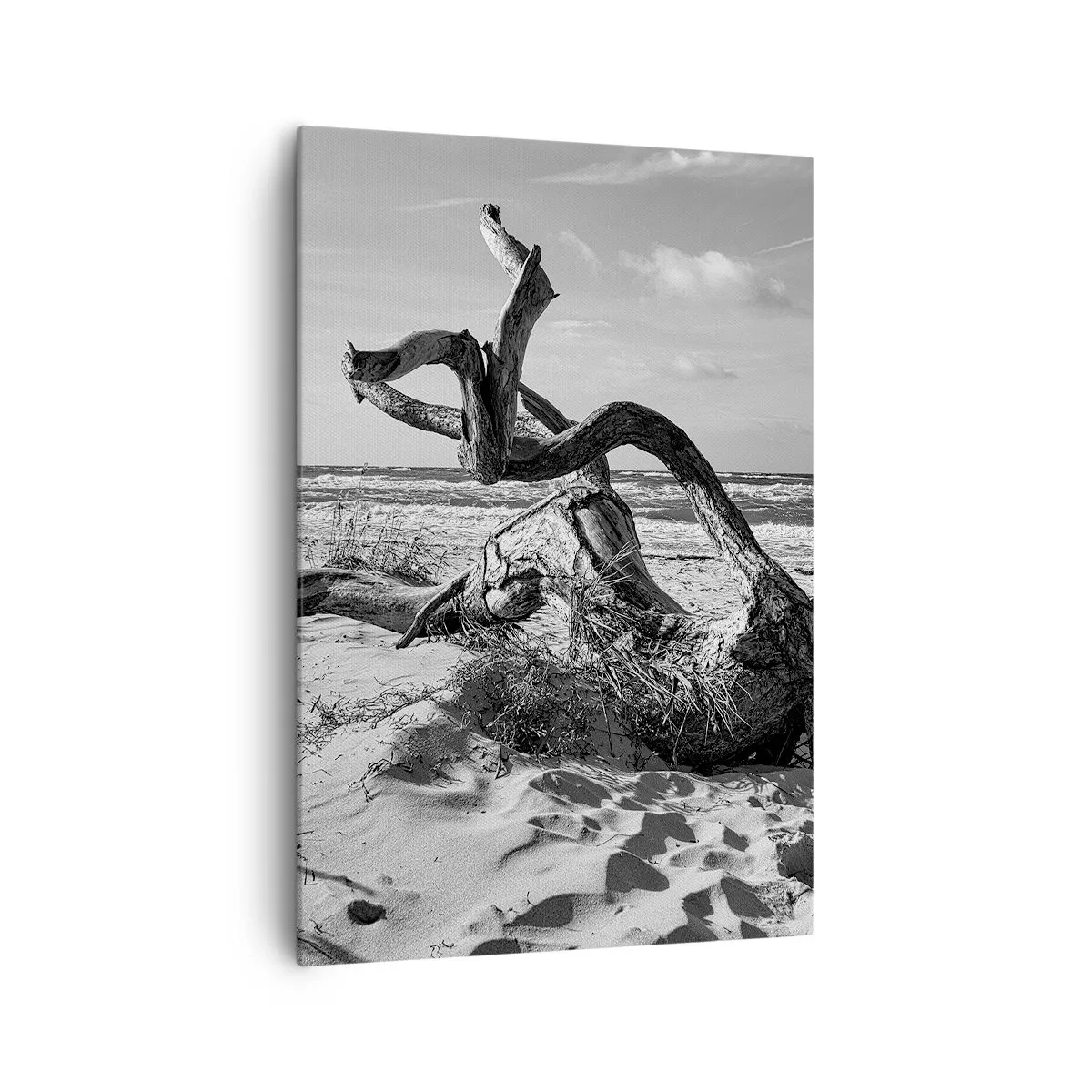 Cuadro sobre lienzo - Impresión de Imagen - Paisaje en blanco y negro con un árbol muerto en la playa. - 70x100cm - Escultura marina - Decoración de pared moderna para salón y dormitorio ARTTOR