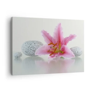 Cuadro sobre lienzo - Impresión de Imagen - Flor de lirio rosa con piedras sobre un fondo claro. - 70x50cm - Estudio en rosa, gris y blanco - Decoración de pared moderna para salón y dormitorio ARTTOR