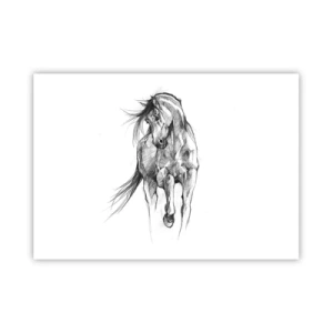 Póster - Boceto en blanco y negro de un caballo al galope - 100x70cm - En un elegante trote - Decoración de pared moderna para salón y dormitorio ARTTOR