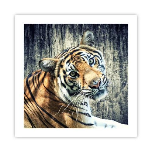 Póster - Retrato en corrientes de luz - 50x50 cm