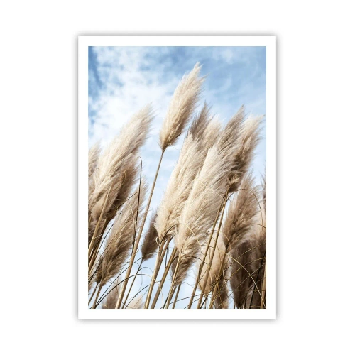 Póster - Una caricia soleada y ventosa - 70x100 cm