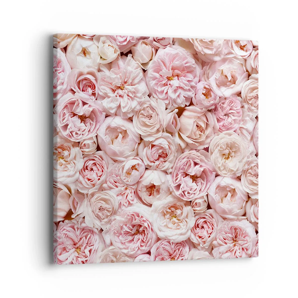 Cuadro sobre lienzo - Impresión de Imagen - Salpicado de rosas - 40x40 cm