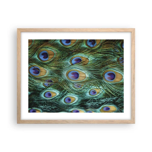 Póster en marco roble claro - Mirada de pavo real - 50x40 cm