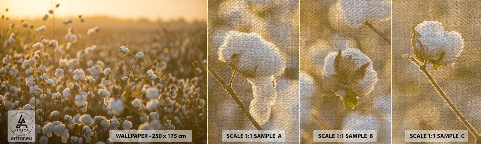 Muestra de fotomural Premium Canvas - Un campo esponjoso - Campo de algodón, Asia, Naturaleza - 100x30 cm