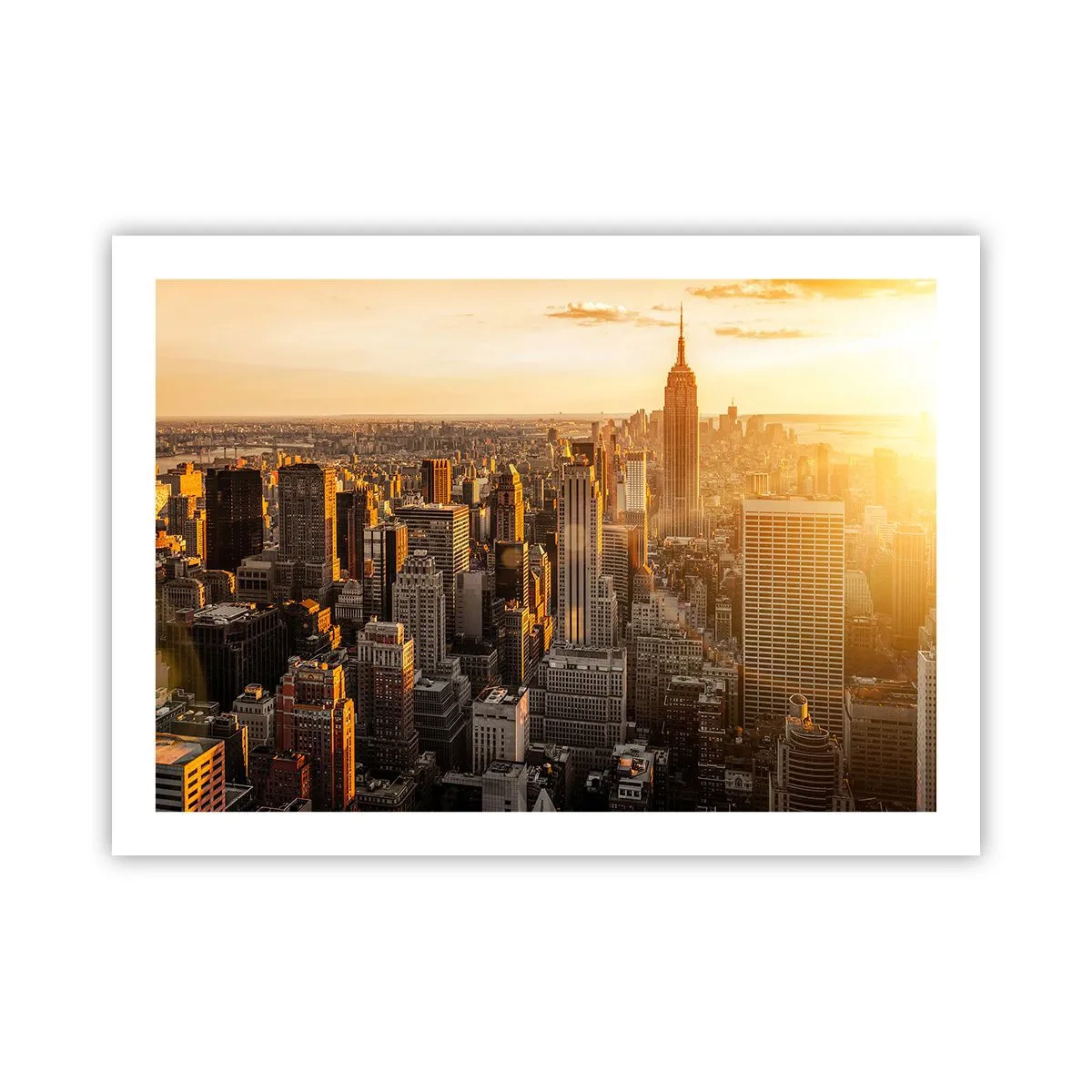 Póster - Creciendo al sol - 70x50 cm