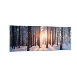 Cuadro sobre vidrio - Impresiones sobre Vidrio - Bosque invernal iluminado por los rayos del sol. - 140x50cm - Claramente en blanco y negro - Decoración de pared moderna para salón y dormitorio ARTTOR