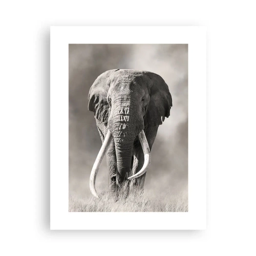 Póster - Patriarca africano - 30x40 cm