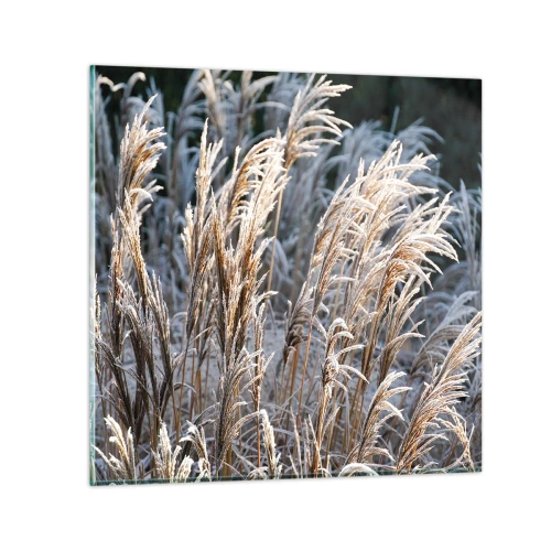 Cuadro sobre vidrio - Impresiones sobre Vidrio - Campos y campos - 50x50 cm