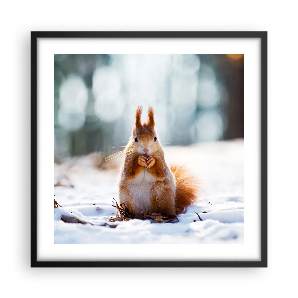 Póster en marco negro - ¿Qué estás mirando? - 50x50 cm