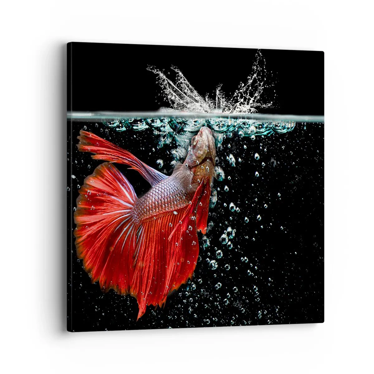 Cuadro sobre lienzo - Impresión de Imagen - Tienes tres deseos - 40x40 cm