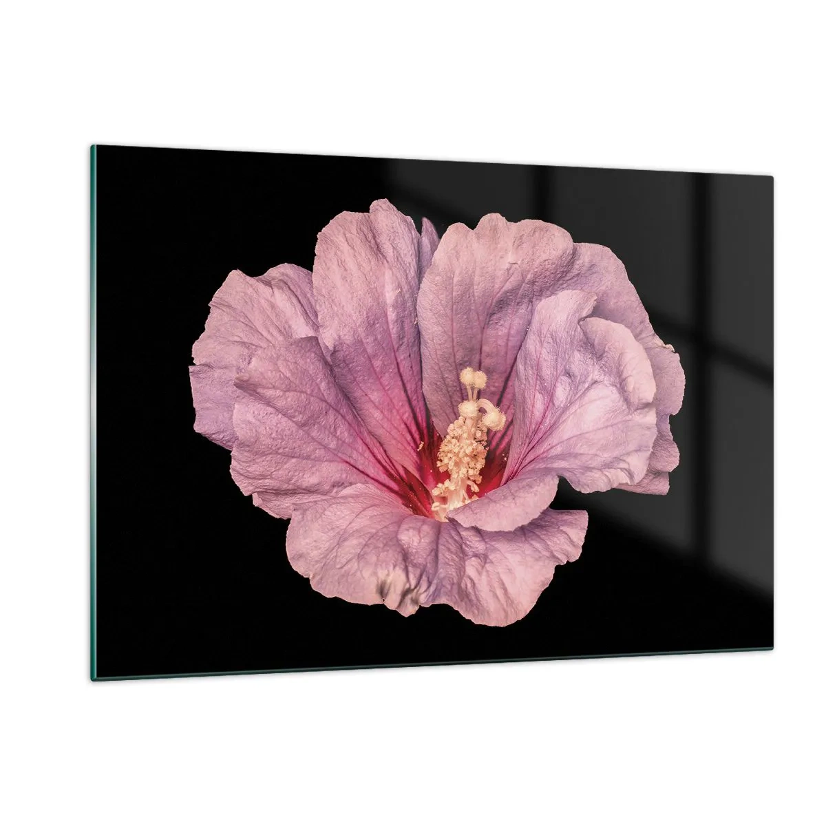 Cuadro sobre vidrio - Impresiones sobre Vidrio - Primer plano de una flor de hibisco rosa sobre un fondo negro - 120x80cm - Directo al corazón - Decoración de pared moderna para salón y dormitorio ARTTOR