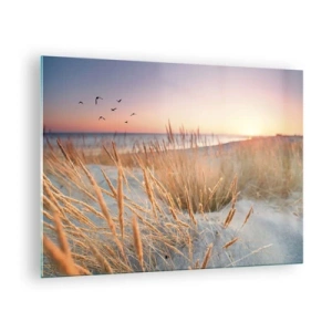 Cuadro sobre vidrio - Impresiones sobre Vidrio - Una playa con césped y la puesta de sol sobre el mar. - 70x50cm - Dulce nana del Báltico - Decoración de pared moderna para salón y dormitorio ARTTOR
