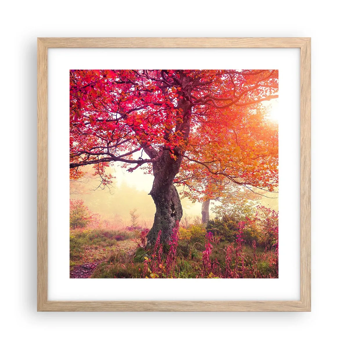 Póster en marco roble claro - Un frenesí de floración - 40x40 cm