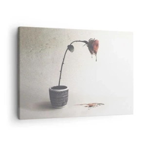 Cuadro sobre lienzo - Impresión de Imagen - Una rosa roja en una maceta con gotas de tinte sobre un fondo blanco. - 70x50cm - Rosa dolorosa - Decoración de pared moderna para salón y dormitorio ARTTOR
