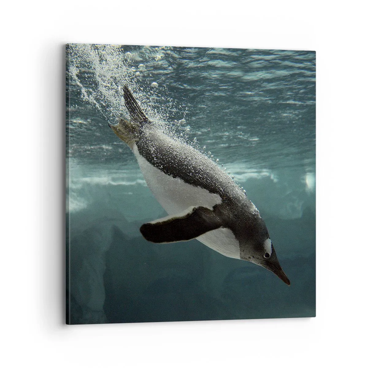 Cuadro sobre lienzo - Impresión de Imagen - Bienvenido a mi mundo - 70x70 cm