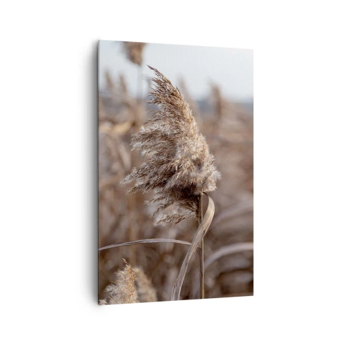 Cuadro sobre lienzo - Impresión de Imagen - Delicadas hierbas en tonos beige sobre el fondo de la naturaleza. - 80x120cm - Es hora de volar con el viento - Decoración de pared moderna para salón y dormitorio ARTTOR