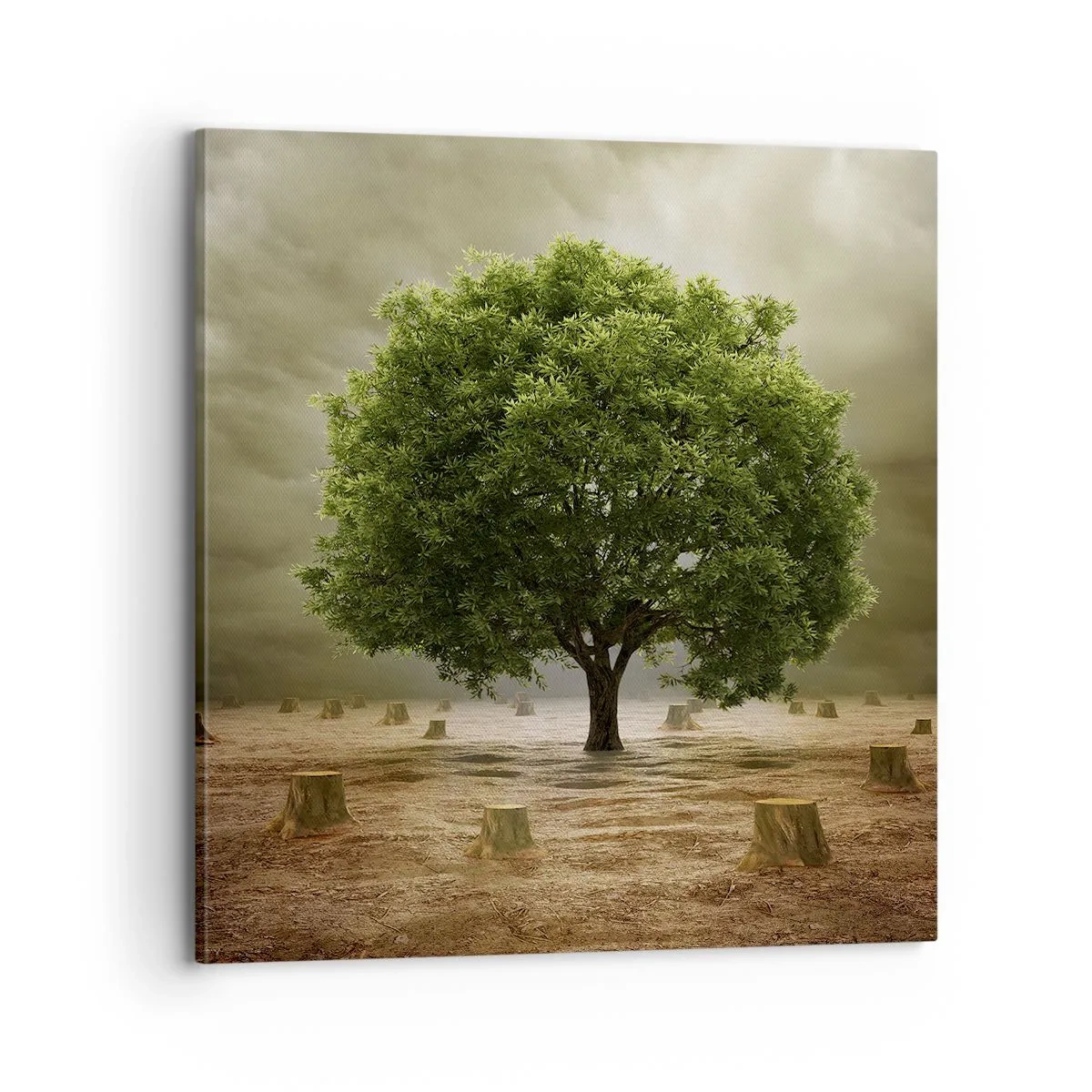 Cuadro sobre lienzo - Impresión de Imagen - La esperanza - 70x70 cm