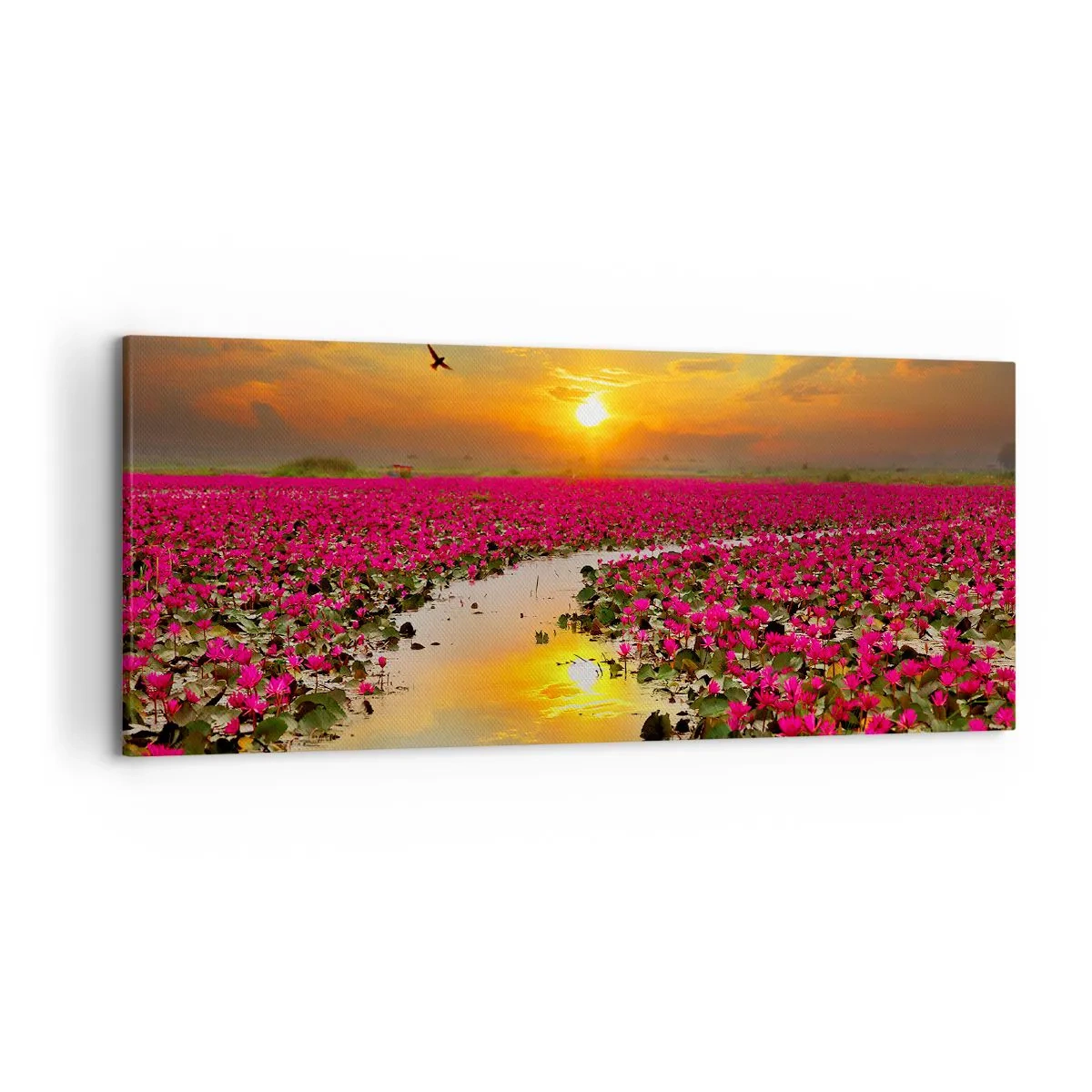 Cuadro sobre lienzo - Impresión de Imagen - Un campo de nenúfares rosados al atardecer. - 120x50cm - La vida secreta del lago - Decoración de pared moderna para salón y dormitorio ARTTOR