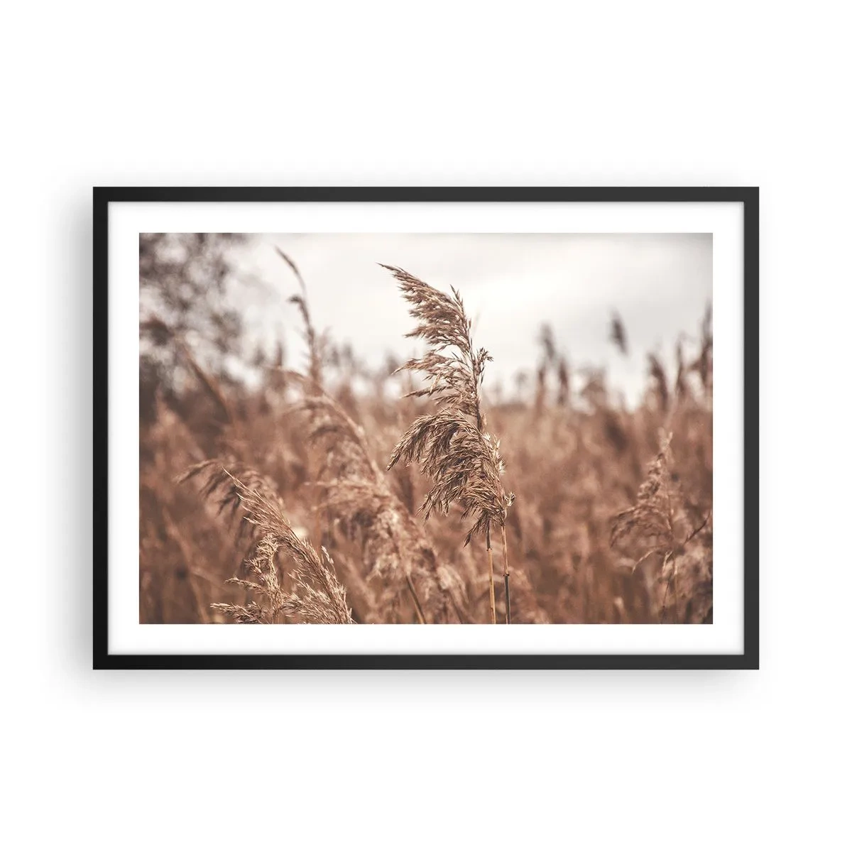 Póster en marco negro - Hierbas doradas con el paisaje otoñal como telón de fondo - 70x50cm - El otoño ya está en los campos - Decoración de pared moderna para salón y dormitorio ARTTOR