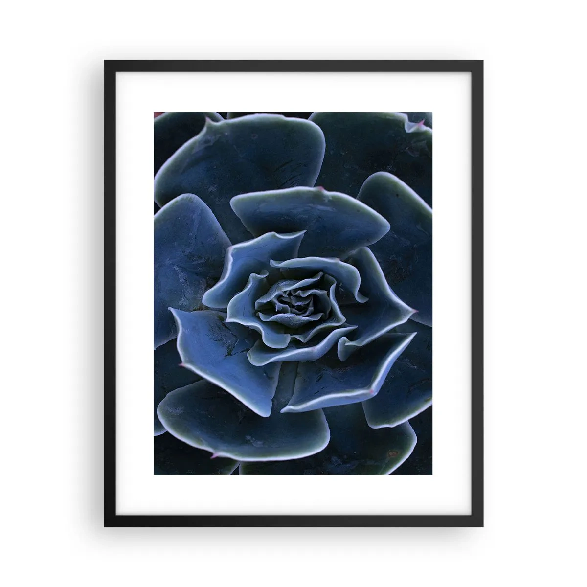 Póster en marco negro - Flor del desierto - 40x50 cm