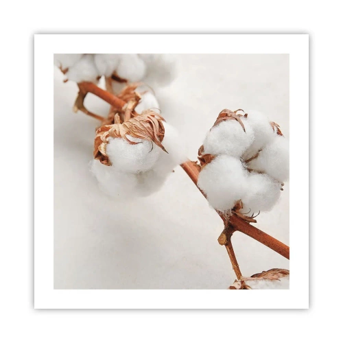 Póster - Un suave tacto - 50x50 cm